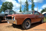 AMC AMX.DNG